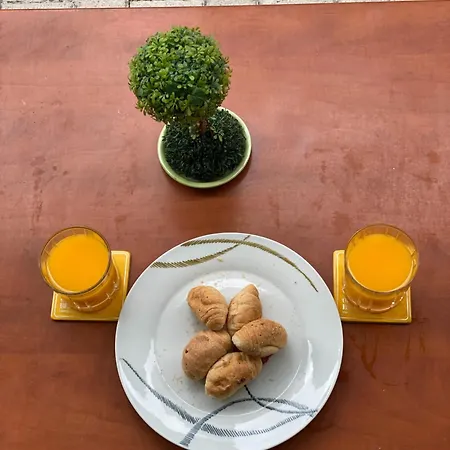 Apartament Summer
